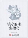 镇守府求生指北