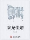 乘龙佳婿